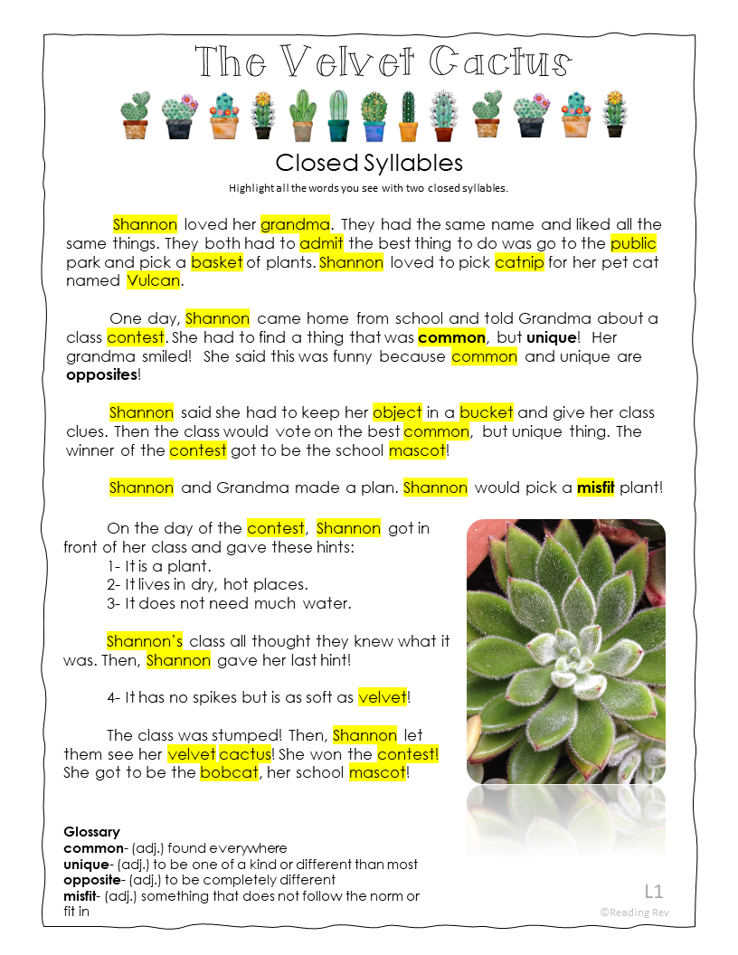 Fiction Passages- Reading Rev
