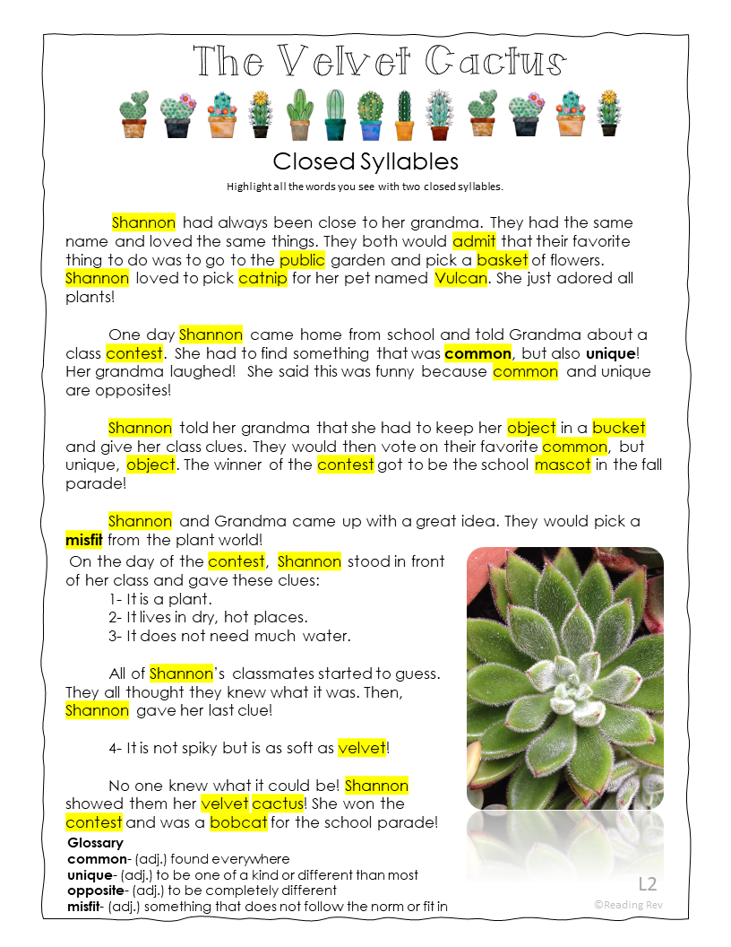 Fiction Passages- Reading Rev