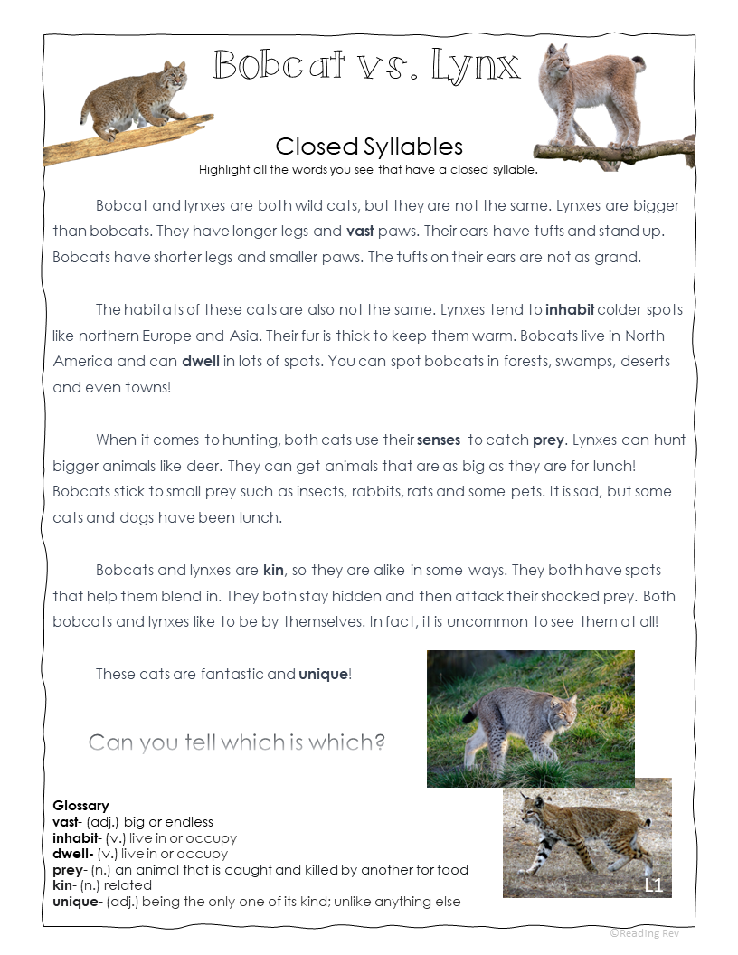 Nonfiction Decodable Passages