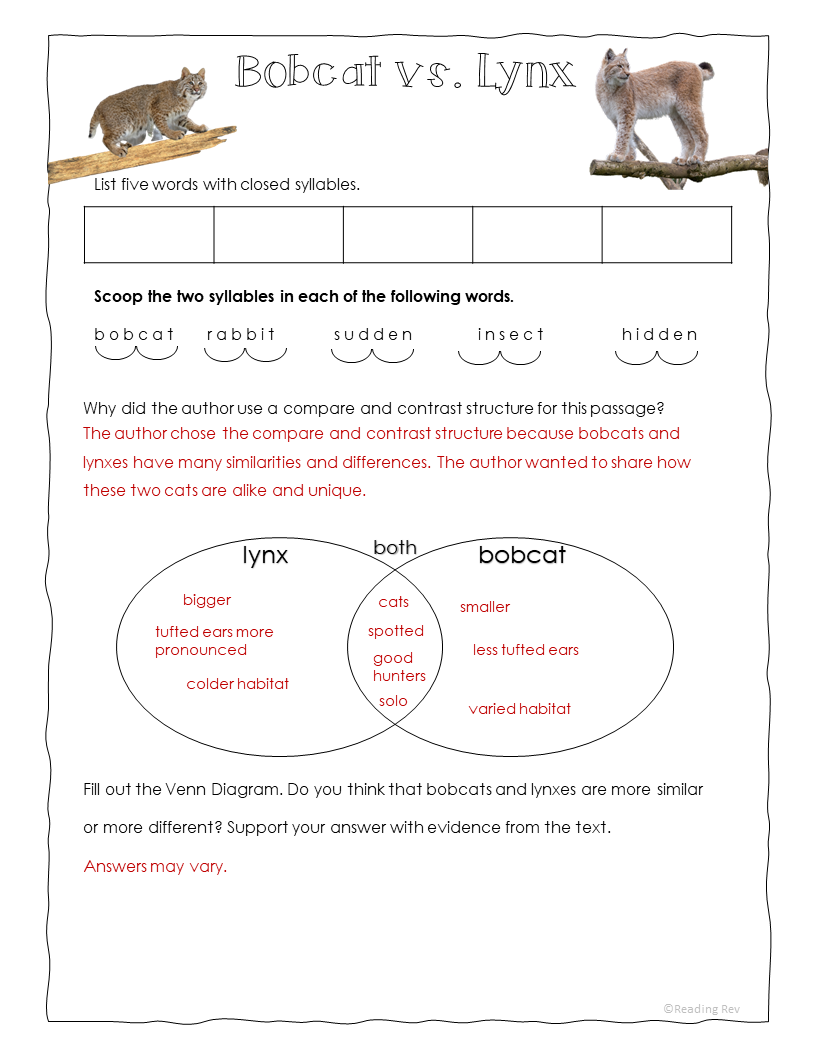 Nonfiction Decodable Passages