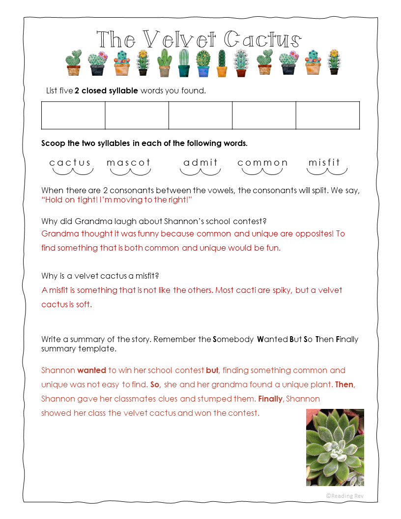 Fiction Passages- Reading Rev