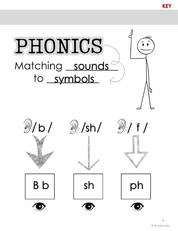 Everything Reading O.G. Interactive Notebook- A Year Long Resource