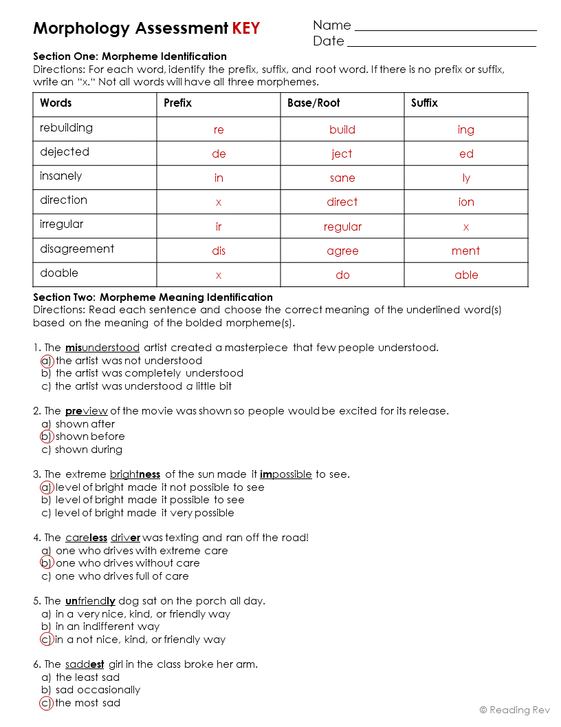 Morphology Assessment