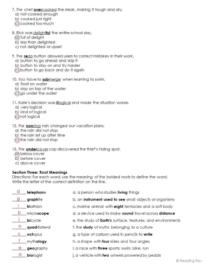 Morphology Assessment