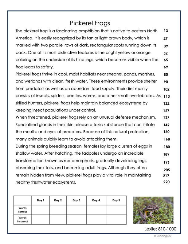 6 Week Fluency Intervention Set 1