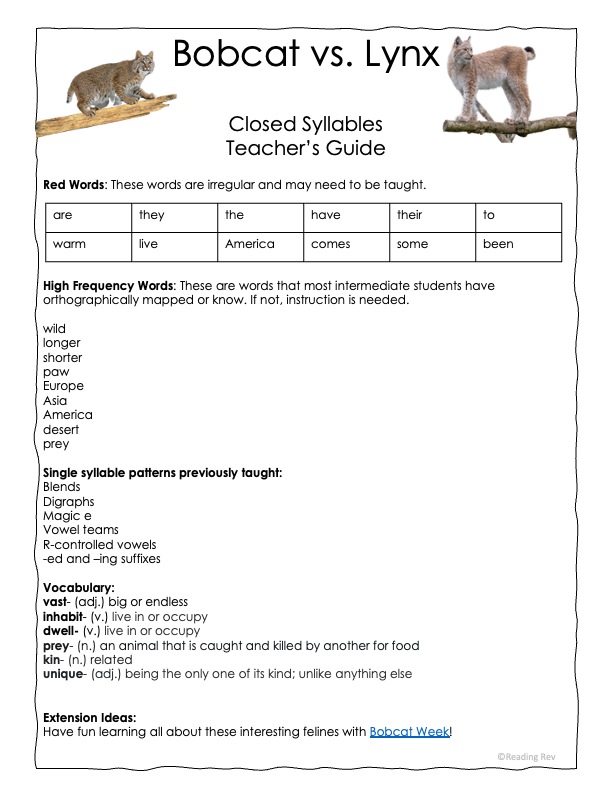 Reading Rev's Complete Systematic Phonics, Spelling, & Morphology Program