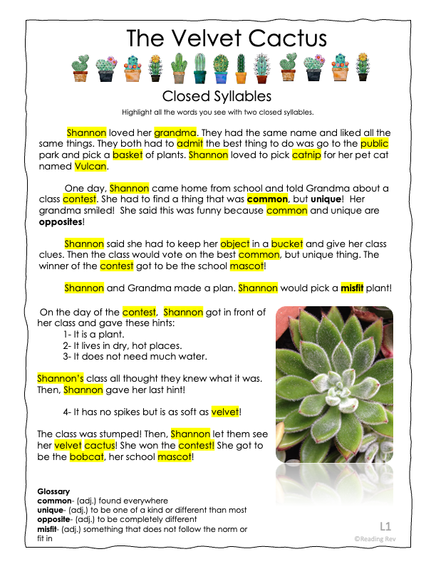 Reading Rev's Complete Systematic Phonics, Spelling, & Morphology Program