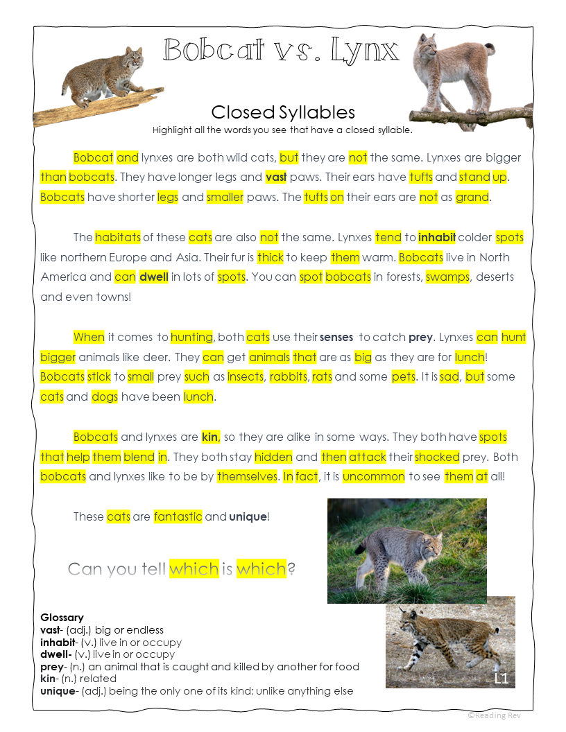 Free Sample Weekly Unit- Closed Syllables