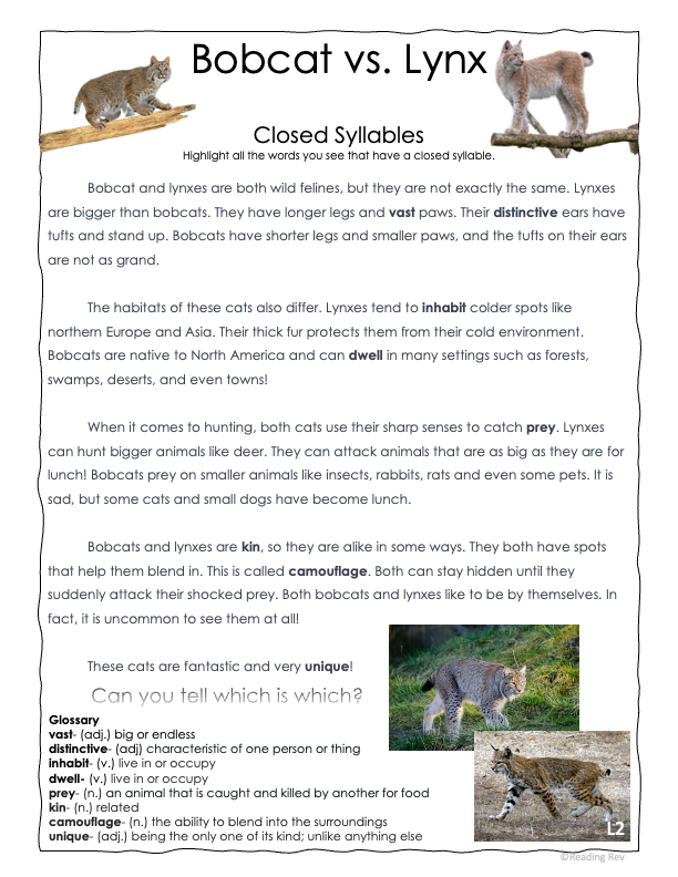 Free Sample Weekly Unit- Closed Syllables