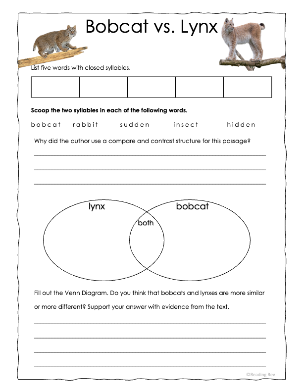 Reading Rev's Complete Systematic Phonics, Spelling, & Morphology Program