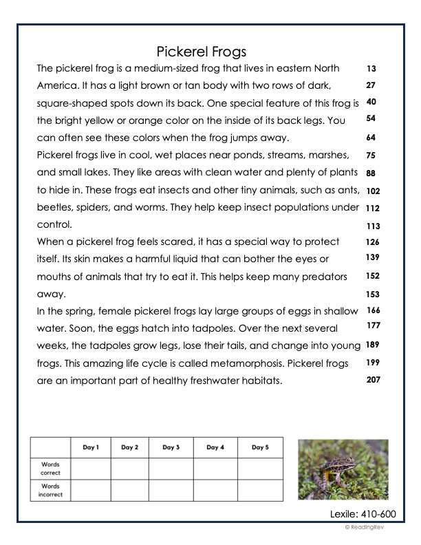 6 Week Fluency Intervention Set 1