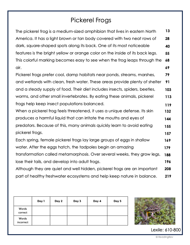 6 Week Fluency Intervention Set 1
