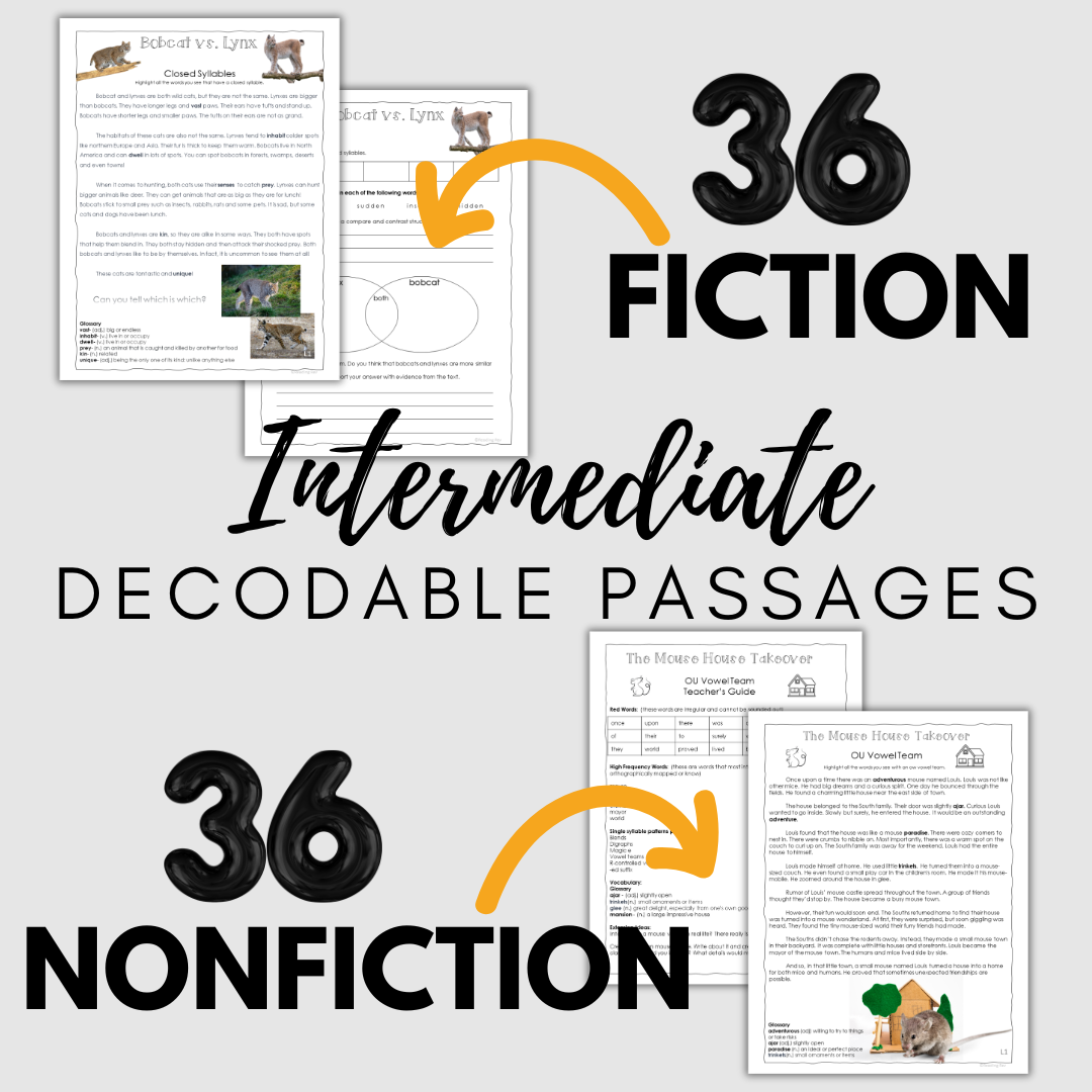 Big Kid Decodables – 72 Fiction & Nonfiction Passages