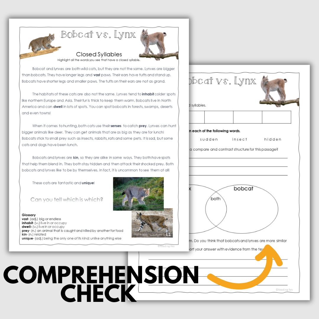 Big Kid Decodables – 72 Fiction & Nonfiction Passages